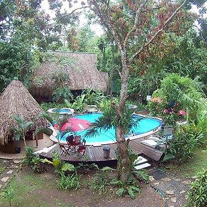 Hotel Hacienda Tijax Jungle Logde